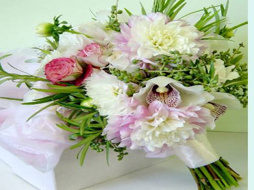Chương IV. §4. Công thức nghiệm của phương trình bậc hai