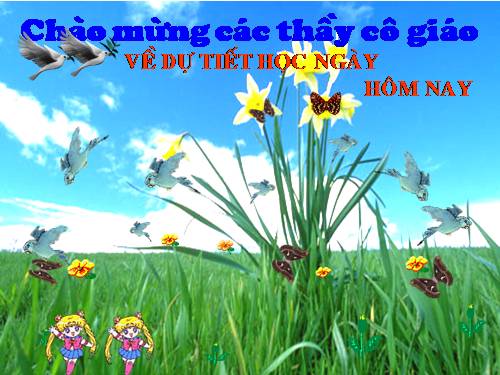 Chương IV. §5. Công thức nghiệm thu gọn