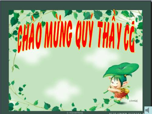 Các bài Luyện tập