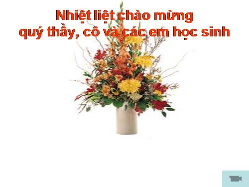 Chương III. §4. Giải hệ phương trình bằng phương pháp cộng đại số
