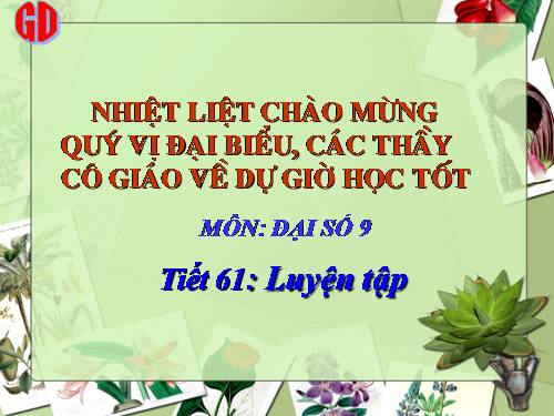 Các bài Luyện tập