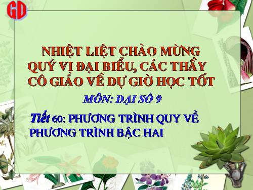 Chương IV. §7. Phương trình quy về phương trình bậc hai