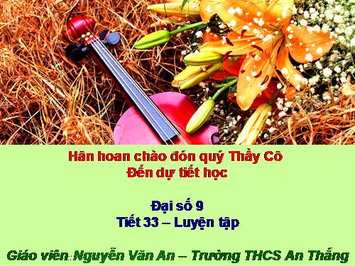 Các bài Luyện tập