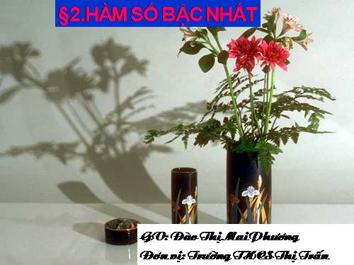 Chương II. §2. Hàm số bậc nhất
