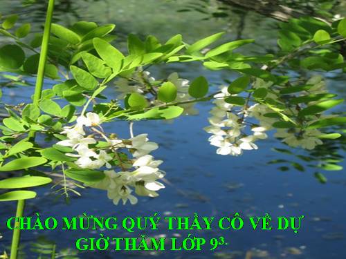 Chương II. §4. Đường thẳng song song và đường thẳng cắt nhau
