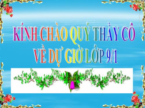 Chương II. §3. Đồ thị của hàm số y = ax + b (a ≠ 0)
