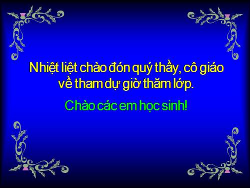 Các bài Luyện tập