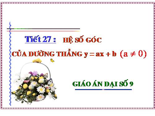 Chương II. §5. Hệ số góc của đường thẳng y = ax + b (a ≠ 0)