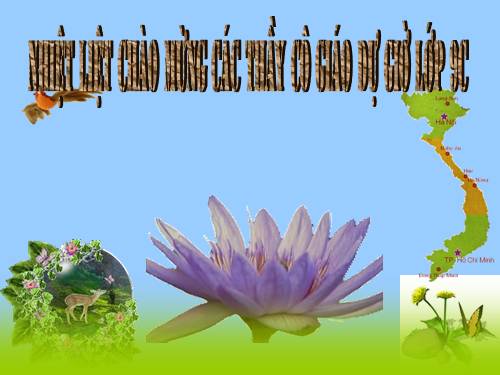 Chương I. §9. Căn bậc ba