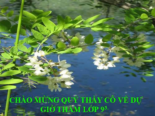 Chương II. §4. Đường thẳng song song và đường thẳng cắt nhau