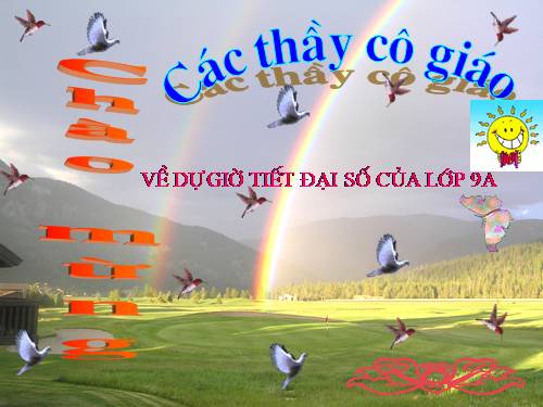Chương II. §5. Hệ số góc của đường thẳng y = ax + b (a ≠ 0)