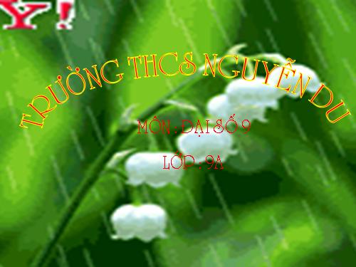 Chương II. §3. Đồ thị của hàm số y = ax + b (a ≠ 0)