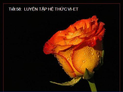 Các bài Luyện tập