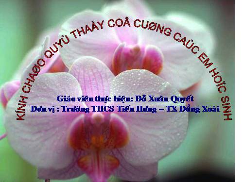 Chương IV. §1. Hàm số y = ax² (a ≠ 0)