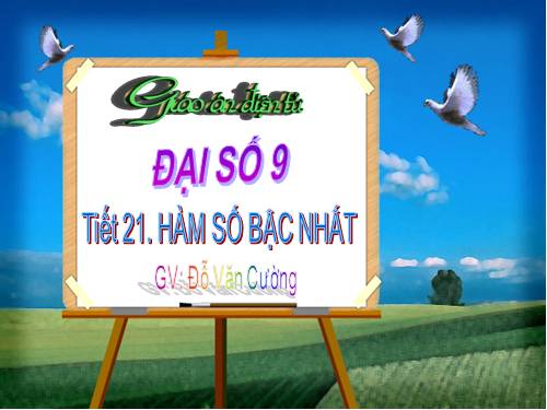 Chương II. §2. Hàm số bậc nhất