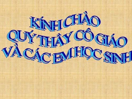 Các bài Luyện tập