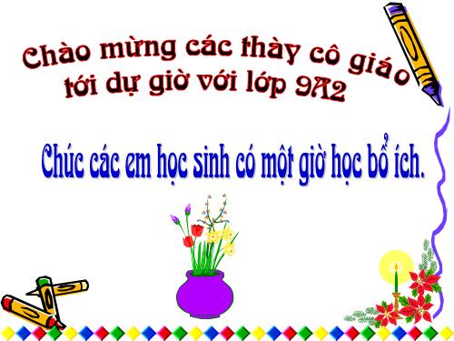 Các bài Luyện tập