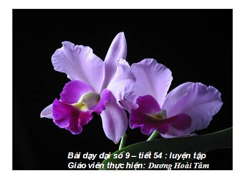 Các bài Luyện tập