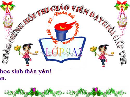 Các bài Luyện tập