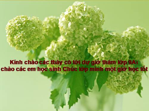 Chương IV. §6. Hệ thức Vi-ét và ứng dụng
