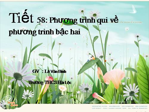 Chương IV. §7. Phương trình quy về phương trình bậc hai