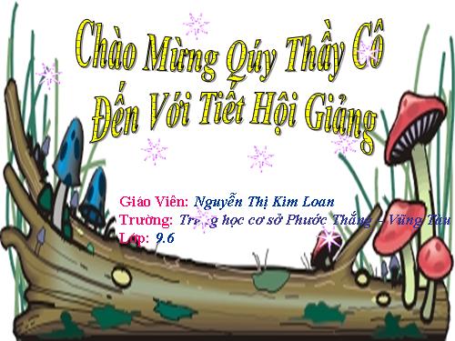 Chương II. §2. Hàm số bậc nhất