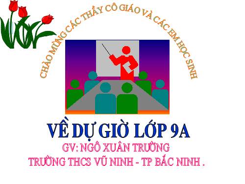 Các bài Luyện tập