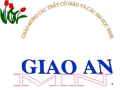Các bài Luyện tập