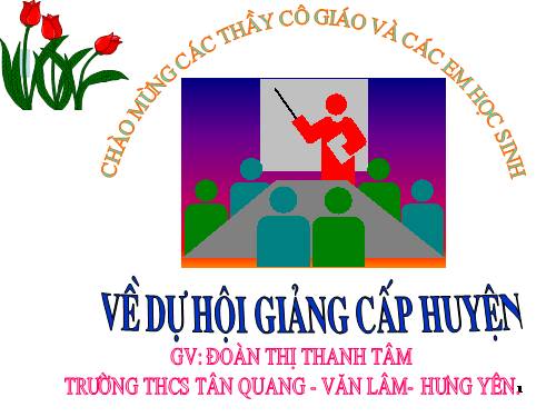 Các bài Luyện tập