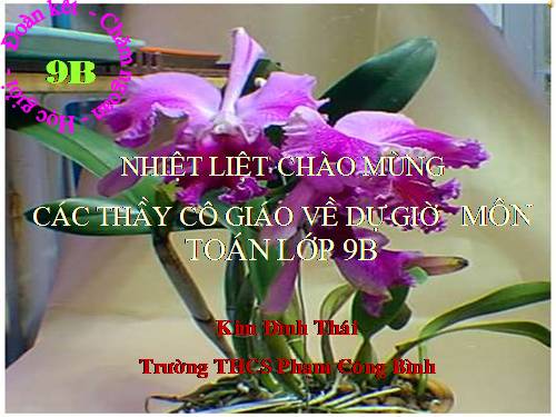 Các bài Luyện tập