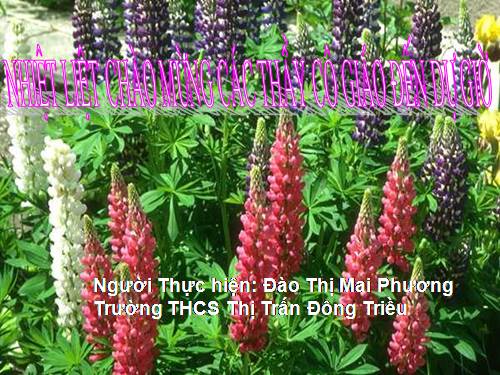 Chương IV. §1. Hàm số y = ax² (a ≠ 0)