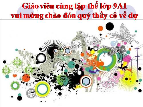 Các bài Luyện tập