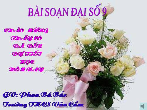 Các bài Luyện tập