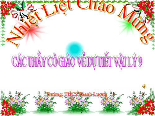 Các bài Luyện tập