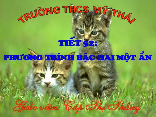 Chương IV. §3. Phương trình bậc hai một ẩn