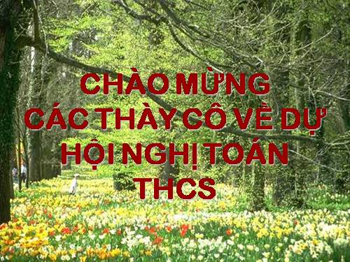 Chương II. §2. Hàm số bậc nhất