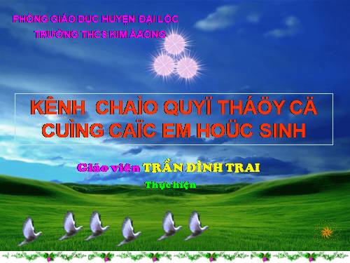 Các bài Luyện tập