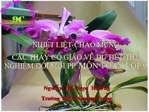 Ôn tập Chương III. Hệ hai phương trình bậc nhất hai ẩn