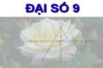 Chương II. §5. Hệ số góc của đường thẳng y = ax + b (a ≠ 0)