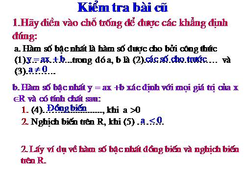 Các bài Luyện tập