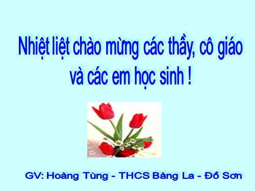 Chương II. §2. Hàm số bậc nhất