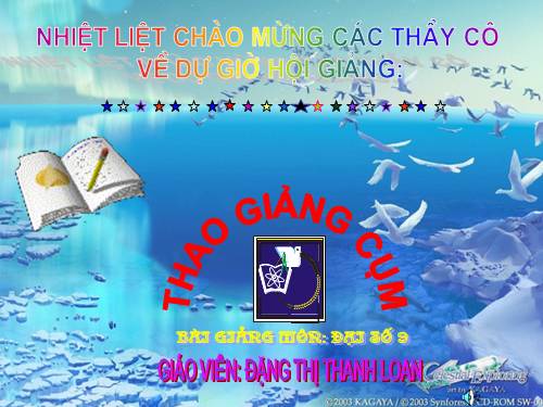 Chương III. §1. Phương trình bậc nhất hai ẩn