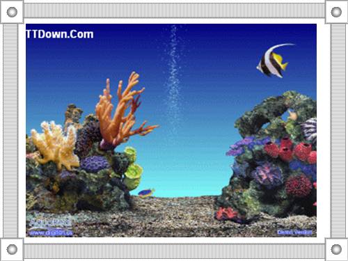 Các bài Luyện tập