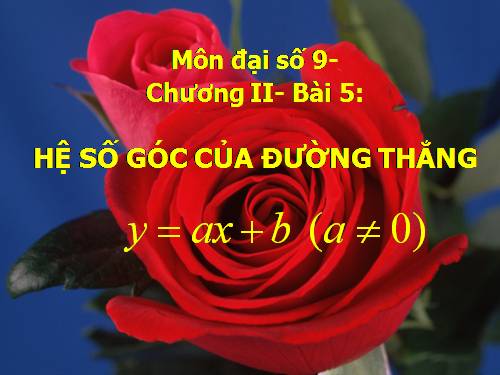Chương II. §5. Hệ số góc của đường thẳng y = ax + b (a ≠ 0)