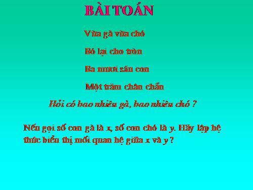 Chương III. §1. Phương trình bậc nhất hai ẩn
