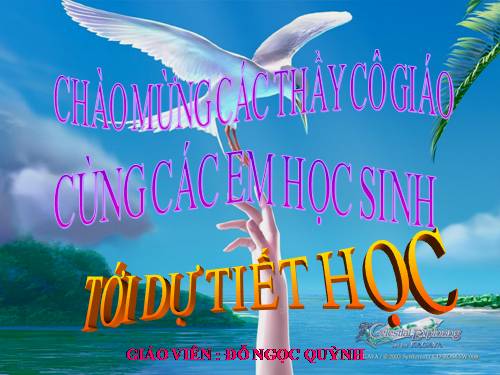 Chương II. §5. Hệ số góc của đường thẳng y = ax + b (a ≠ 0)