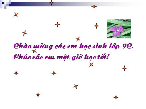 Chương II. §2. Hàm số bậc nhất