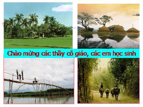 Chương II. §3. Đồ thị của hàm số y = ax + b (a ≠ 0)
