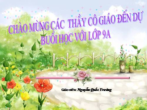 Các bài Luyện tập