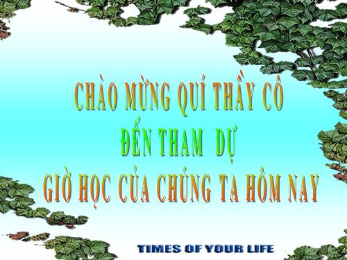 Chương II. §2. Hàm số bậc nhất